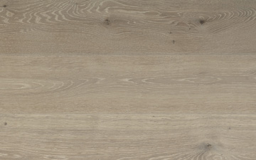NEU: Eiche Nizza