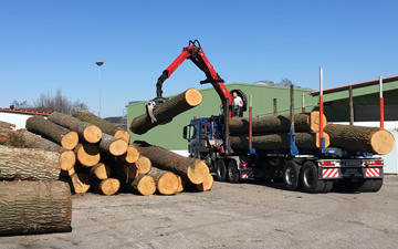 Unloading of Oak trees on our log yard